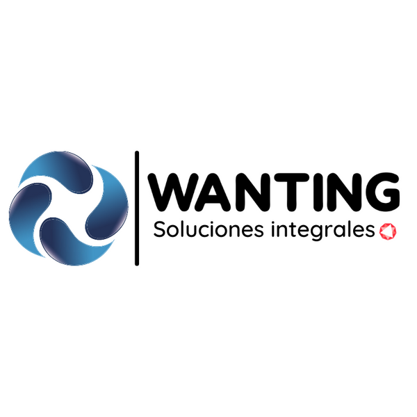 Wanting Soluciones 