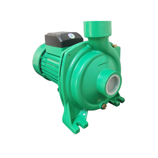 Electrobomba de agua centrífuga 1.3HP 220V WDM