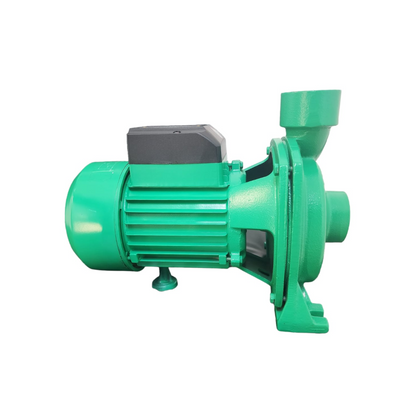 Electrobomba de agua centrífuga 1.3HP 220V WDM